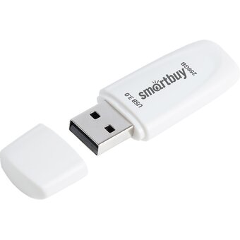  USB-флешка Smart Buy Scout SB256GB3SCW 3.1 256GB белый 