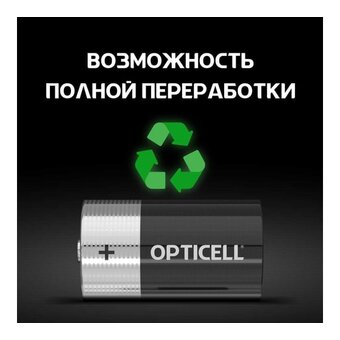  Батарейка OPTICELL Basic LR20 BL2 (6051005) 