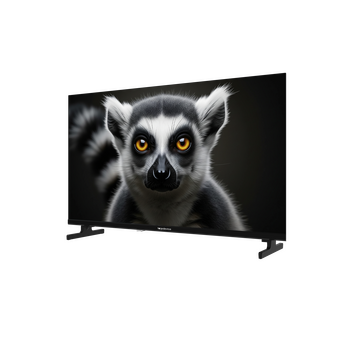  Телевизор TopDevice TDHTV32GFDBK черный 