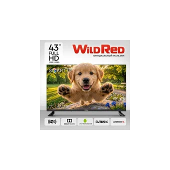  Телевизор WILDRED 43QWS9001 