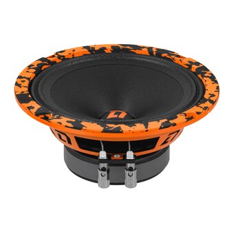 Автоакустика DL Audio Barracuda 165 V.2 