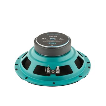  Автоакустика Aspect CWS-65 