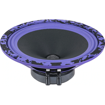  Автоакустика DL Audio Piranha 200 V.2 