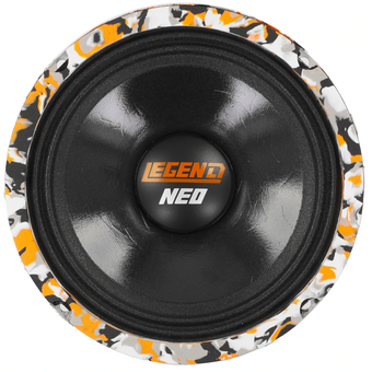  Автоакустика DL Audio Legend 165 Neo 