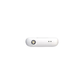  Мобильный телефон Maxvi B241 белый 