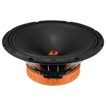  Автоакустика DL Audio Raven 250 V.2 