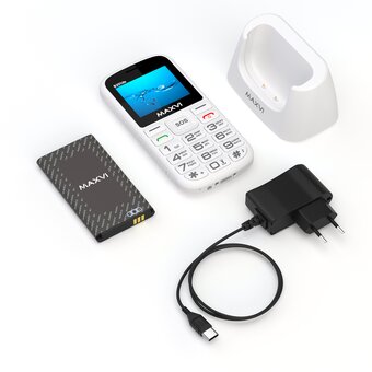  Мобильный телефон Maxvi B201ds белый 