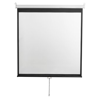  Экран Digis Optimal-D DSOD-16906MW 120" 273x159см 16:9 настенный рулонный белый 