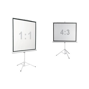  Экран Digis Kontur-D DSKD-1108 на треноге 135" 248x250см 1:1 напольный рулонный белый 