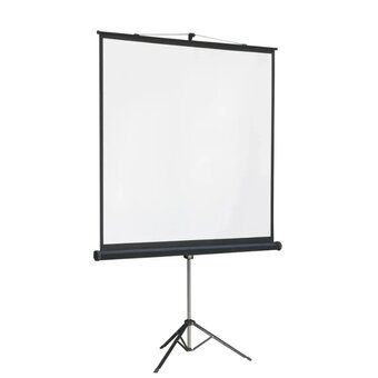  Экран Lumien Master View LMV-100105 на треноге 131" 244x244см 1:1 напольный рулонный 