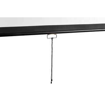  Экран Digis Optimal-D DSOD-16906MW 120" 273x159см 16:9 настенный рулонный белый 