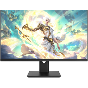  Монитор CBR LCD-MD2404-OPC черный 