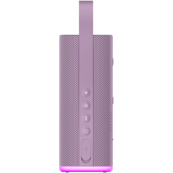  Портативная колонка Xiaomi Sound Play 18W (QBH4431GL) Purple 
