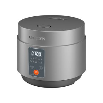  Мультиварка GARLYN MR-Solo 4 Pro 