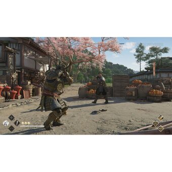  Игра Assassin's Creed Shadows для PS5 русские субтитры 