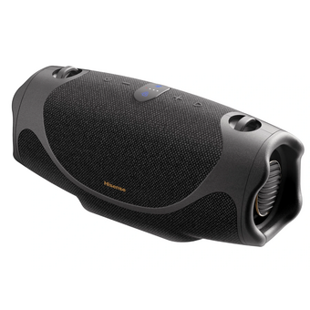  Портативная аудиосистема Hisense FlexBoom 