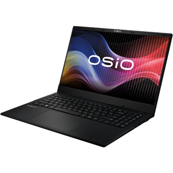  Ноутбук Osio BaseLine B150i-012b 15.6"(1920x1080 IPS (матовый, 60Hz))/Intel N-series N100(0.8Ghz)/8192Mb/256PCISSDGb/noDVD/Int:Intel UHD Graphics/Cam 