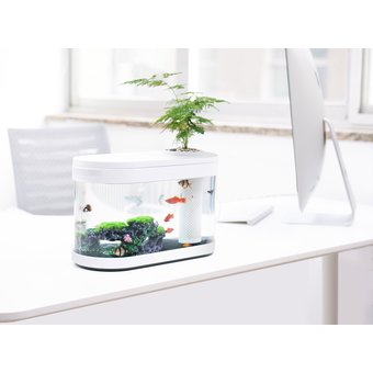  Акваферма Descriptive geometry amphibious ecological lazy fish tank 