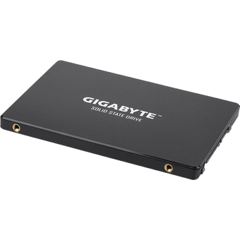  Твердотельный накопитель 256Gb SSD Gigabyte (GP-GSTFS31256GTND) 