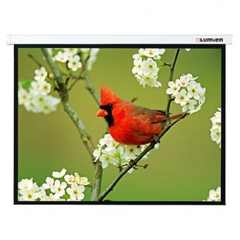  Проекционный экран с электроприводом Lumien Master Control (LMC-100115) 202х280 см 