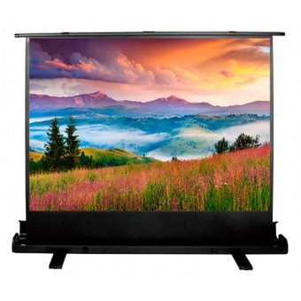  Экран Cactus 68x120см FloorExpert CS-PSFLE-120X68 16:9 напольный рулонный 