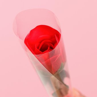  Мыльная роза, красная (6962332) 