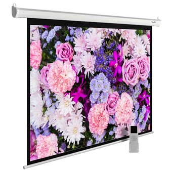  Экран Cactus 315x420см MotoExpert CS-PSME-420x315-WT 4:3 рулонный белый (мотор) 