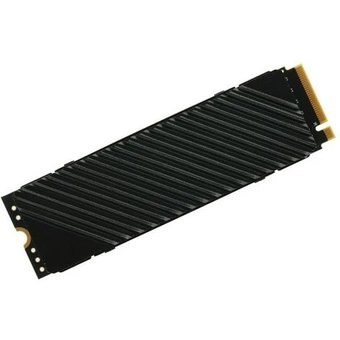  SSD Digma Top G3 (DGST4001TG33T) PCI-E 4.0 x4 1Tb M.2 2280 