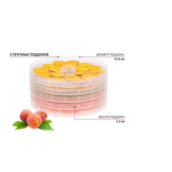  Сушилка для овощей и фруктов Мастерица EFD-0501M с прозрачными поддонами 