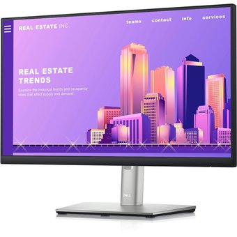  Монитор Dell P2422H (210-AZYX) 