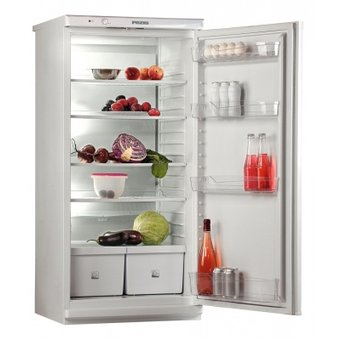  Холодильник POZIS Свияга 513-5 С 