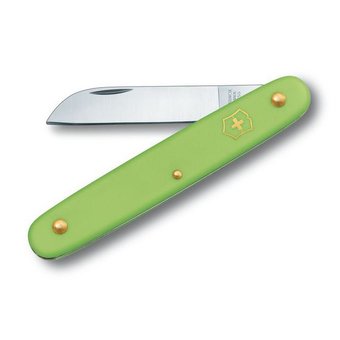  Нож перочинный Victorinox EcoLine Floral (3.9050.47B1) 100мм 1функций салатовый блистер 