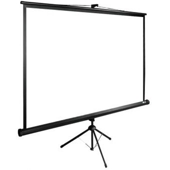  Экран Cactus 220x220см TriExpert CS-PSTE-220x220-BK 1:1 напольный рулонный черный 