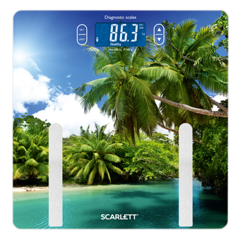 Весы напольные Scarlett SC-BS33ED12 рисунок 