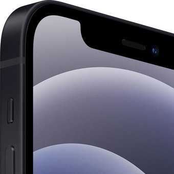  Смартфон Apple iPhone 12 128GB Black MGGU3CH/A 