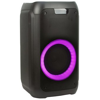  Акустическая колонка ELTRONIC 20-01 Dance Box 300 