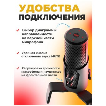  Микрофон RITMIX RDM-290 USB Eloquence Black 