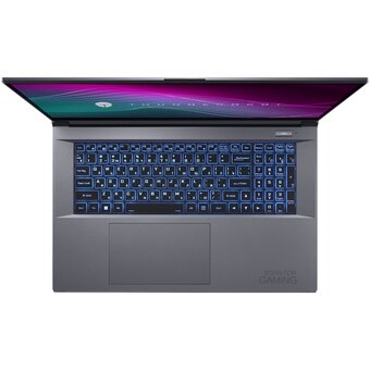 Ноутбук Thunderobot 911 Plus X (JT009WE07RU) 17.3" 