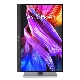  Монитор Asus ProArt PA248CNV (90LM05K1-B03370) черный 