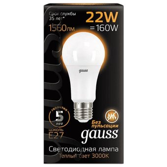  Лампочка Gauss 102502122 A70 22W E27 