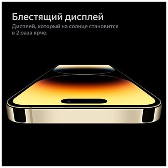  Смартфон Apple A2893 iPhone 14 Pro Max (MQ9D3VC/A) 256Gb 6Gb iOS 16 золотой 