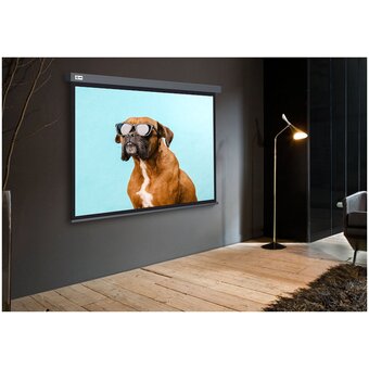  Экран Cactus CS-PSW-149X265-SG Wallscreen настенно-потолочный рулонный серый 