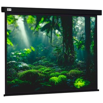  Экран Cactus CS-PSW-213X213-BK Wallscreen настенно-потолочный рулонный черный 