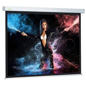  Экран Cactus CS-PSW-168X299-SG Wallscreen настенно-потолочный рулонный серый 