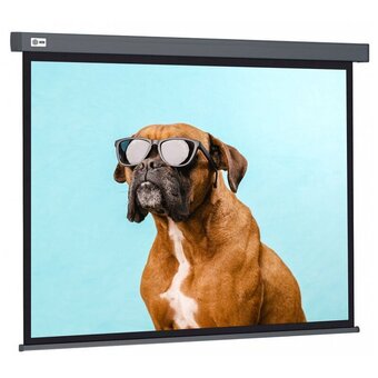  Экран Cactus CS-PSW-168X299-SG Wallscreen настенно-потолочный рулонный серый 
