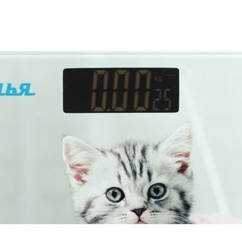  Весы Аксинья КС-6002 забавный котенок 