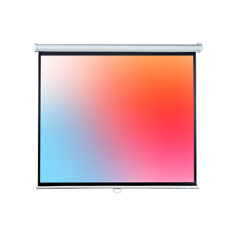  Проекционный экран Lumien Eco Picture (LEP-100113) Matte White 
