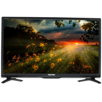  Телевизор Asano 24LH1010T 
