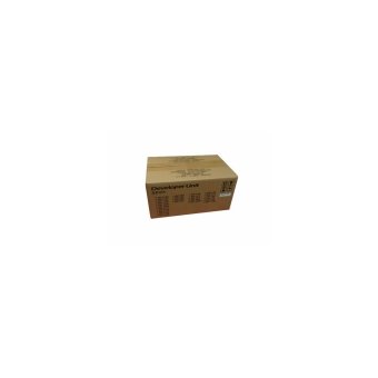  DV-1110/302M293020 Блок проявки Kyocera FS-1020MFP/1025MFP (О) 