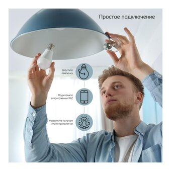  Умная лампа Gauss IoT Smart Home (1080112) E27 10Вт 1055lm Wi-Fi 